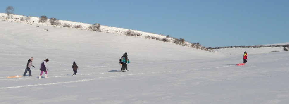 Sledging in the snow