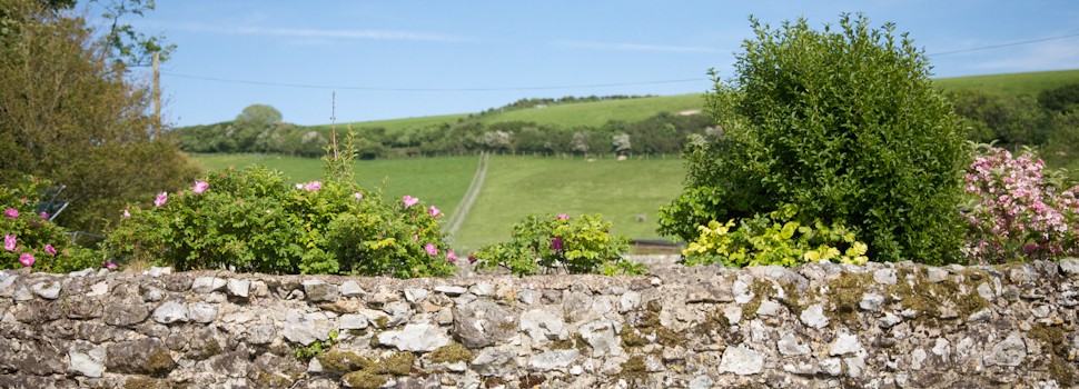 Countryside views over a stone wall