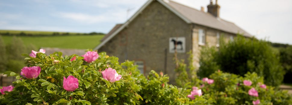 Farm house